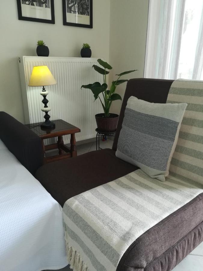 Apartment Ey Zhn Néa Khilí エクステリア 写真